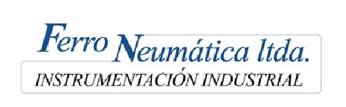 FERRONEUMATICA-LTDA
