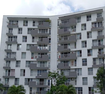 ALMENDROS DEL CASTILLO
