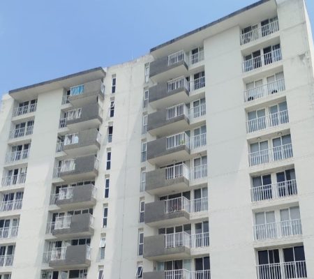 ALMENDROS DEL CASTILLO